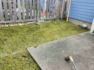 Terri E.'s Grass Cutting service result