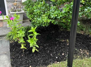 Mulching by Jason Scott for Hannah H. in Gaithersburg, MD