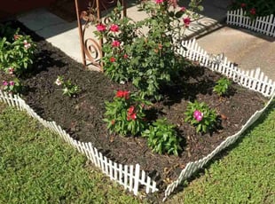 Leaf Removal by Demiteria Mattox for Roberta T. in Houston, TX