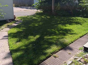 Ryan S.'s Lawn Care service result