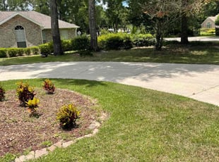 Emily G.'s Grass Cutting service result
