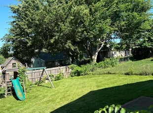 Daniel G.'s Lawn Maintenance service result