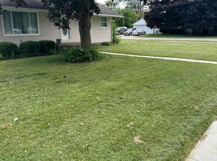 Bruce N.'s Lawn Mowing Service service result