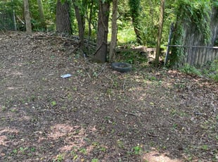 Weeding by Blair Poe for Runetta W. in Memphis, TN