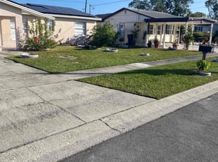 Tramaine R.'s Lawn Care service result