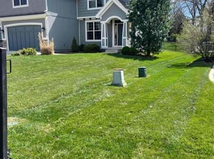 Dominique M.'s Lawn Care service result