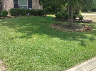 Amber H.'s Lawn Maintenance service result