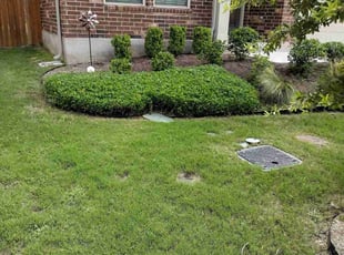 Bush Trimming by Hussein Kamel for Ryan F. in Austin, TX