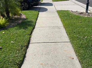 Mark K.'s Grass Cutting service result