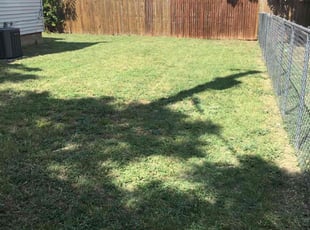 Nancy G.'s Lawn Mowing service result