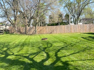 Chris C.'s Lawn Care service result