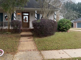 Bush Trimming by Torrance Moton for Jessica S. in Zachary, LA