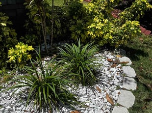 Weeding by Rictoria Merrick for Kevin F. in Saint Johns, FL