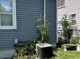 Bush Trimming by Robert Cain for PAMELA B. in Royal Oak, MI