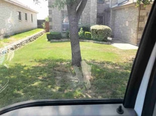 Bush Trimming by Jason Westgor for John C. in San Antonio, TX