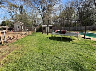 Tracy L.'s Lawn Service service result