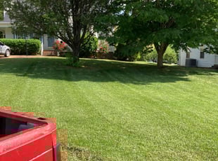 Chris T.'s Lawn Care service result