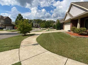 Murray J.'s Grass Cutting service result