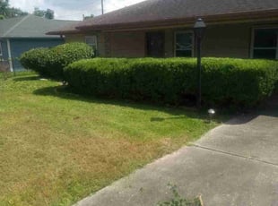 Bush Trimming by Donovan Perry for Devin M. in Houston, TX