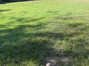 Douglas M.'s Lawn Care service result