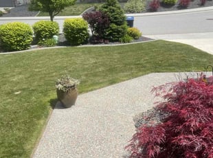 Patrice O.'s Lawn Service service result