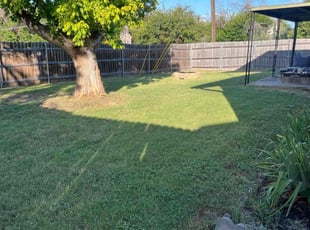 Steward M.'s Yard Cutting service result