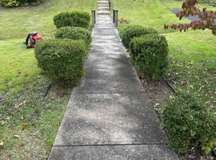 Bush Trimming by Ted Reimel for Janet G. in Audubon, NJ