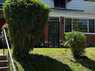 Bush Trimming by Theo Mobley for KAREN G. in Washington, DC