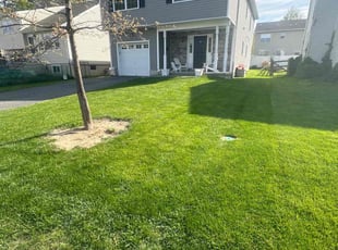 Jean S.'s Lawn Maintenance service result