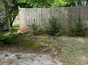 Weeding by Eric Garcia for Daishaun M. in McDonough, GA