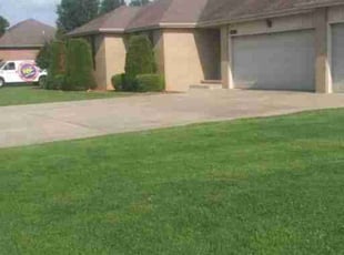 Laurel M.'s Yard Cutting service result