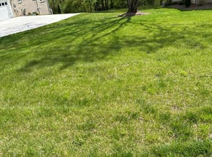Sheryl D.'s Grass Cutting service result