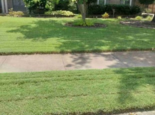 Andre K.'s Yard Cutting service result