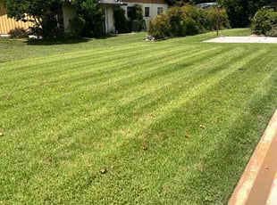 Mark M.'s Lawn Service service result