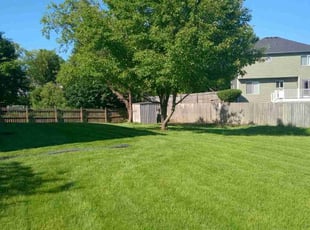 Steve A.'s Lawn Care service result