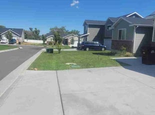 Cameron P.'s Grass Cutting service result