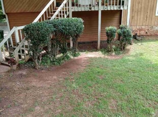 Bush Trimming by Lionel Lee for Delphine G. in Stone Mountain, GA