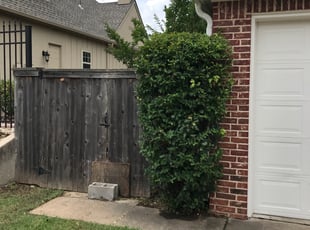 Bush Trimming by Timothy Jones for Dan W. in Broken Arrow, OK