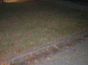 Cleanups by Lionel Lee for Tk R. in DeKalb County, GA