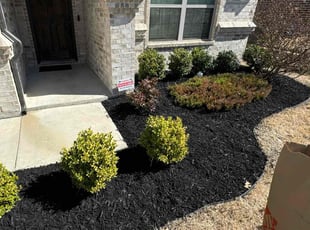 Michael R.'s Lawn Service service result