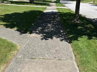 Steve I.'s Lawn Care service result