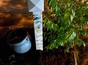 Weeding by Green (Anthony) Smile (Anthony Silvesto) for Missy L. in Nashville, TN