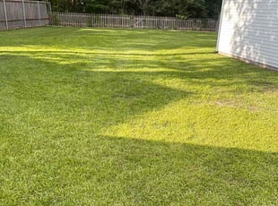 Brian/Brita B.'s Lawn Maintenance service result