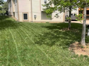 Pat D.'s Lawn Mowing service result
