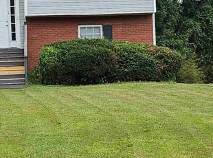 Bush Trimming by Phillip Stewart for Mekel C. in Ellenwood, GA