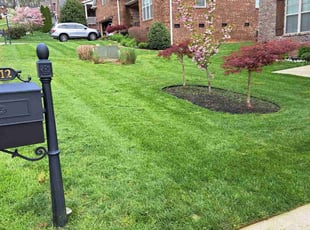 Dwight S.'s Yard Cutting service result