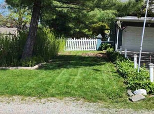 Tamara B.'s Lawn Maintenance service result