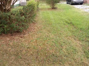 Bush Trimming by Steven Price for Omar H. in Petersburg, VA