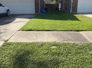 Brandee C.'s Lawn Mowing service result