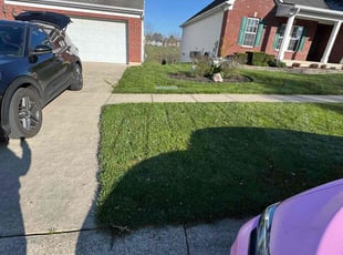 Veronica C.'s Grass Cutting service result